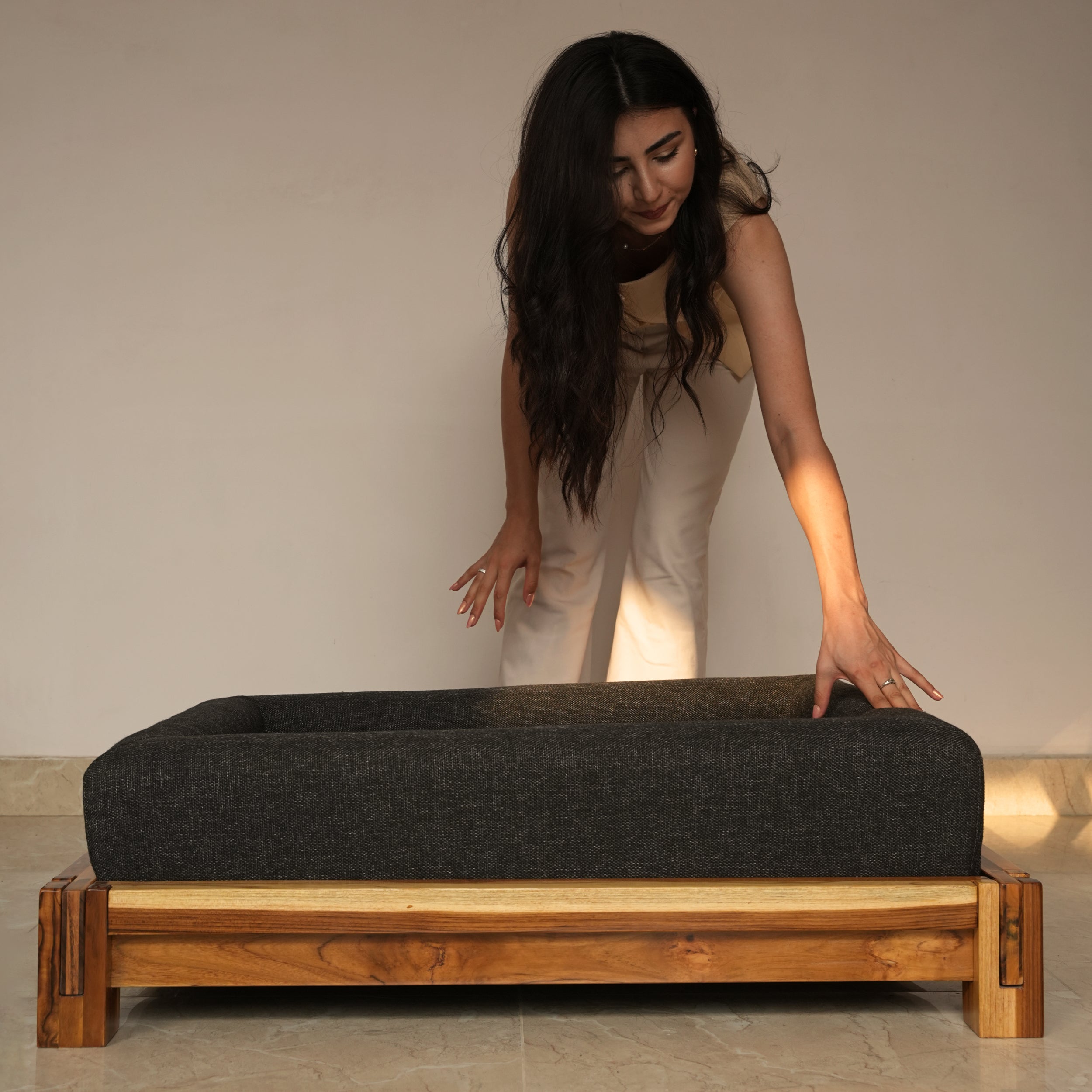 dog bed 