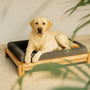 Dog Bed Natural Teak